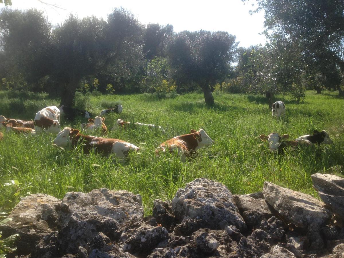 Villa Castelli B&B Masseria Nuove Caselle מראה חיצוני תמונה