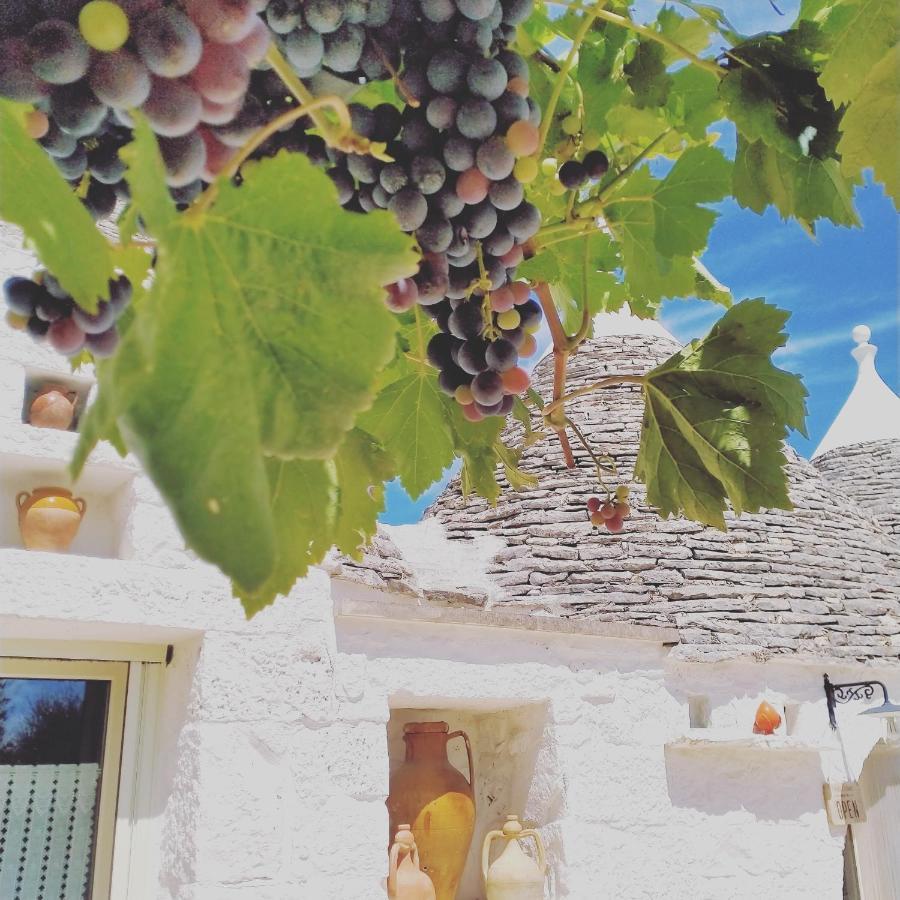 Villa Castelli B&B Masseria Nuove Caselle מראה חיצוני תמונה