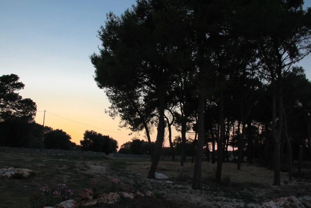 Villa Castelli B&B Masseria Nuove Caselle מראה חיצוני תמונה